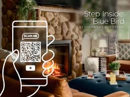 Blue Bird - Image 2