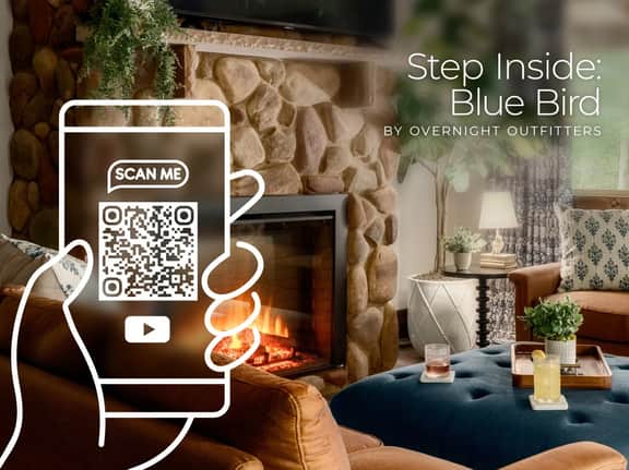 Blue Bird - Image 2